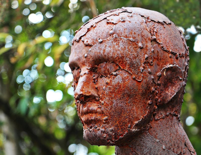 Plant Sculptures